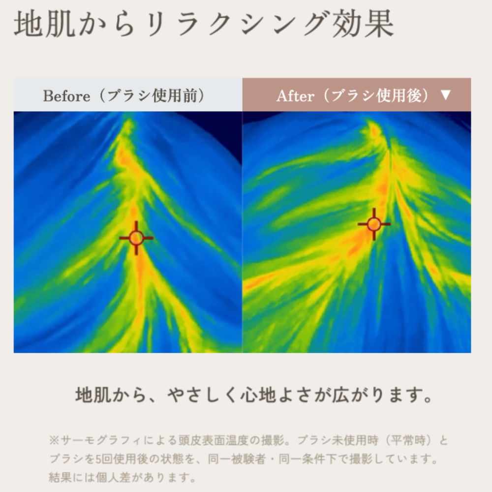 KINUJO Silky Jewel Brush（シルキージュエルブラシ）クリアスタンド付き