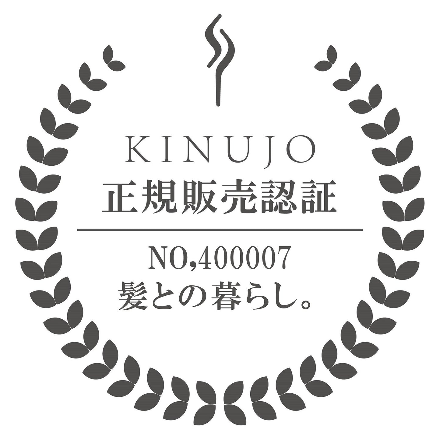 KINUJO Pro(絹女プロ)ストレートヘアアイロン